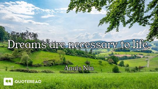Dreams are necessary to life.