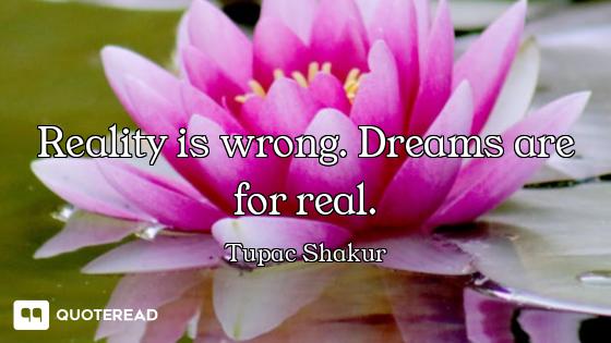 Reality is wrong. Dreams are for real.