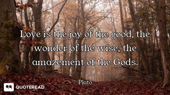 Love is the joy of the good, the wonder of the wise, the amazement of the Gods.