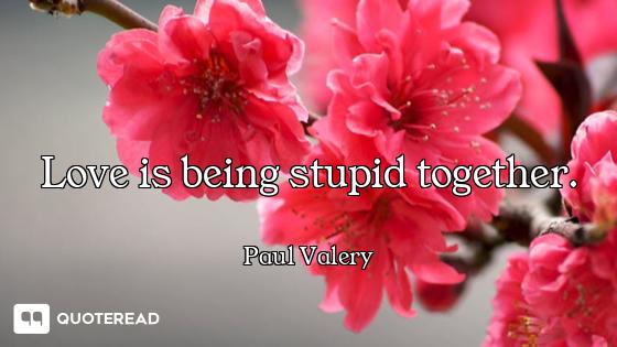 Love is being stupid together.