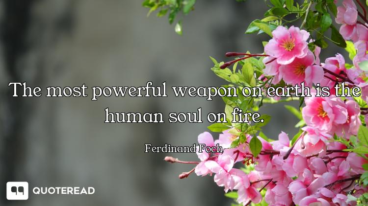 The most powerful weapon on earth is the human soul on fire.