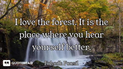 I love the forest. It is the place where you hear yourself better.