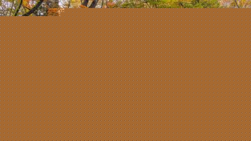 You know, all that really matters is that the people you love are happy and healthy. Everything else...