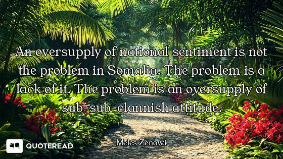 An oversupply of national sentiment is not the problem in Somalia. The problem is a lack of it. The...