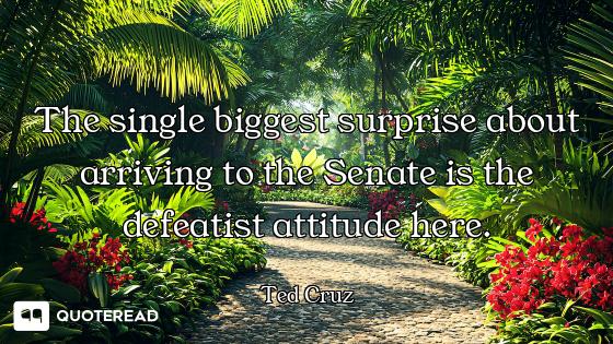 The single biggest surprise about arriving to the Senate is the defeatist attitude here.