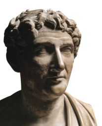 Ovid